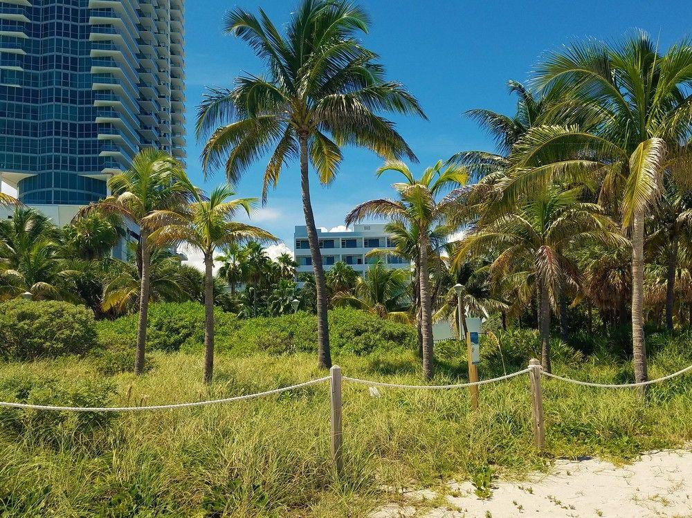 Seagull Hotel Miami Beach Zewnętrze zdjęcie