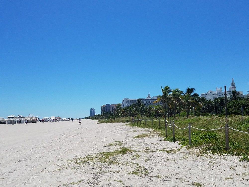 Seagull Hotel Miami Beach Zewnętrze zdjęcie