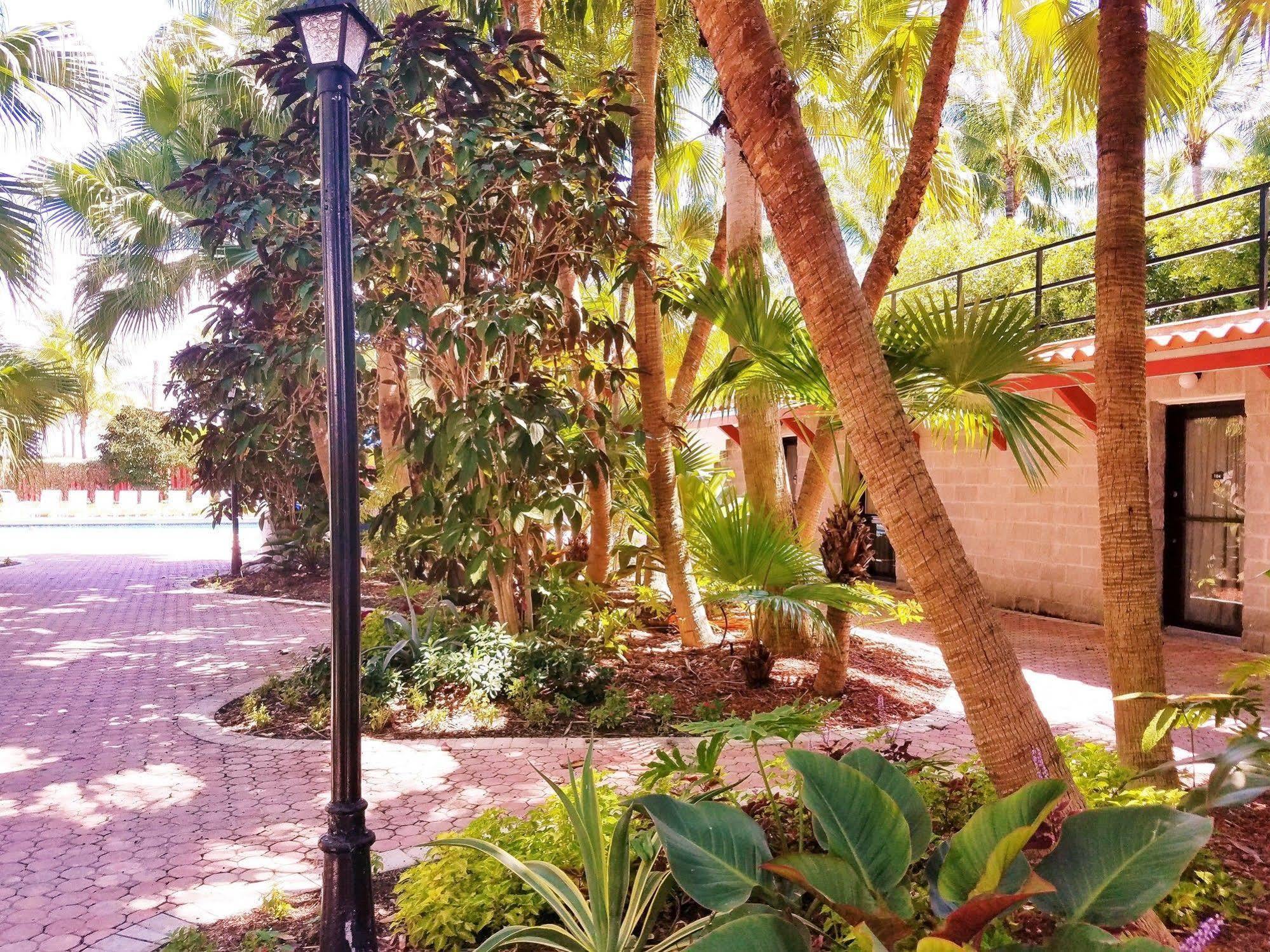 Seagull Hotel Miami Beach Zewnętrze zdjęcie